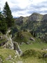Schäferhüttli