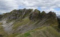 Schaflägerzähne