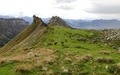 Schapen met Sigriswiler Rothorn