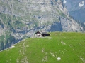 Unter Baumgarten