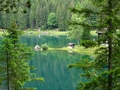 Arnisee
