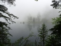 Arnisee