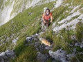 Nog steeds gezelschap van de kat