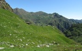 Alpe Scarpia