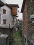Ungiasca