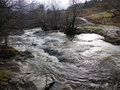 Aira Beck