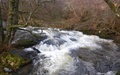 Aira Beck
