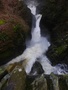 Aira Force