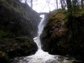 Aira Force