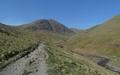 Catstycam