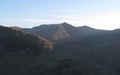 Catstycam in de avondzon