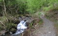 Afdaling door het Whinlatter Forest Park