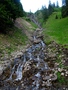 Fläschen