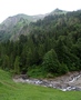 Fläschenwald