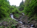 Fläschenwald