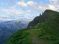 Saaspass