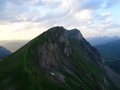 Saaspass