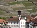 Aran