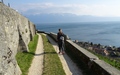 Aran