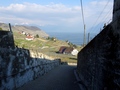 Grandvaux