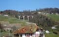 Lavaux