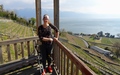 Lavaux