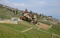 Montagny