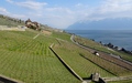 Montagny