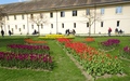 Morges: Fête de la Tulipe