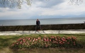 Morges: Fête de la Tulipe