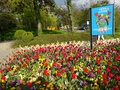 Morges: Fête de la Tulipe