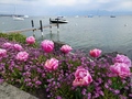 Morges: Quai Igor Stravinski