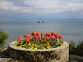 Morges: Quai Igor Stravinski