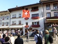 Vlaggenwerpen