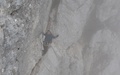 Via ferrata de la Tête aux Chamois