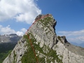 Lobhörner