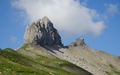 Lobhörner