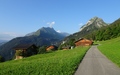 Sulwald