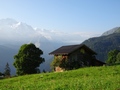 Sulwald