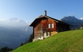 Sulwald
