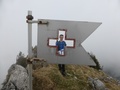 Gmeinenwis