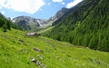 Alp Zeznina Dadaint