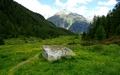 Alp Zeznina Dadaint