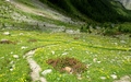 Alp Zeznina Dadaint