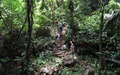 Junglewandeling