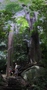 Junglewandeling