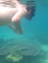 Snorkelen