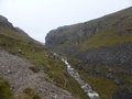 Goredale Beck