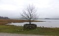 Malham Tarn