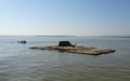 Irrawaddy